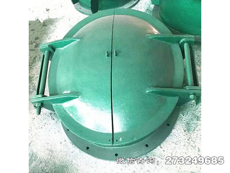 长武县双开式玻璃钢拍门