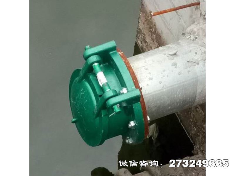 浙江污水管道玻璃钢拍门