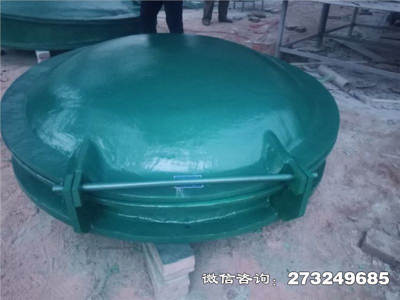 耐腐蚀管道拍门