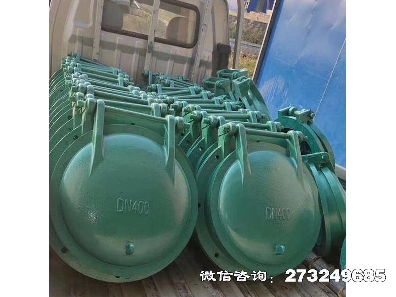 排污口玻璃钢拍门