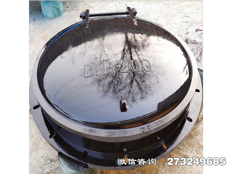 贵州防倒灌玻璃钢拍门