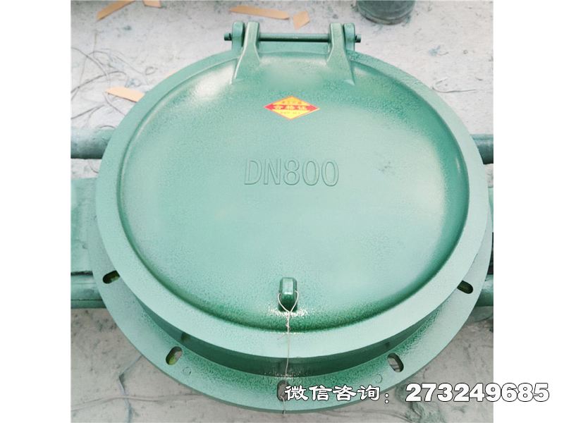 长武县玻璃钢自动启闭拍门