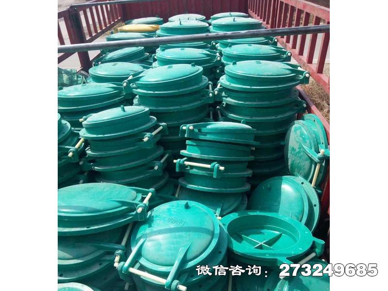 长武县浮箱式玻璃钢拍门