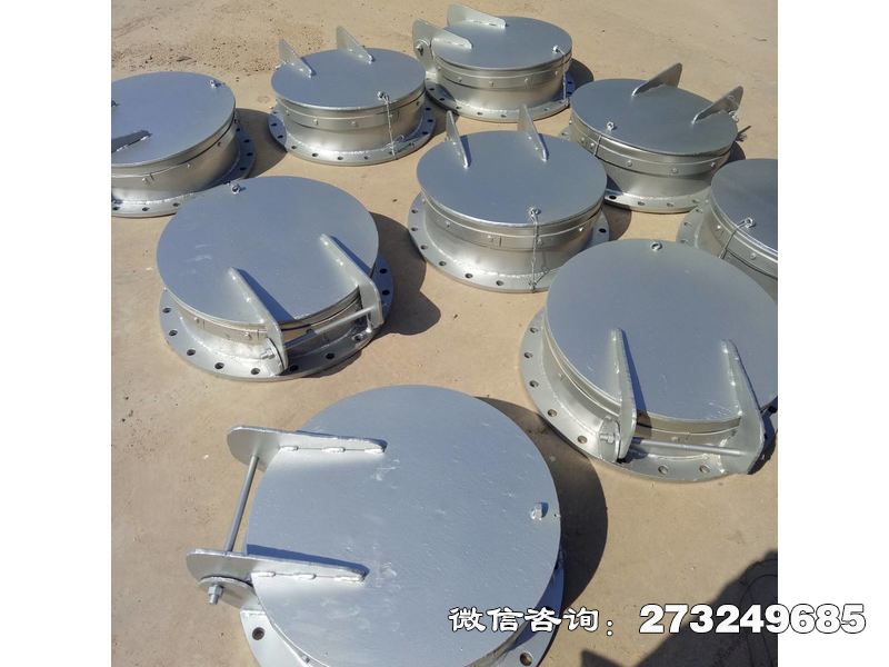 长武县悬挂式不锈钢拍门