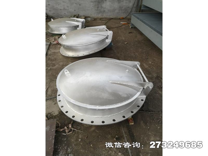 长武县不锈钢管道拍门