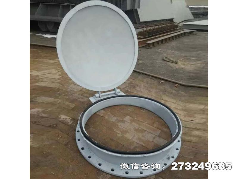 长武县金属不锈钢拍门