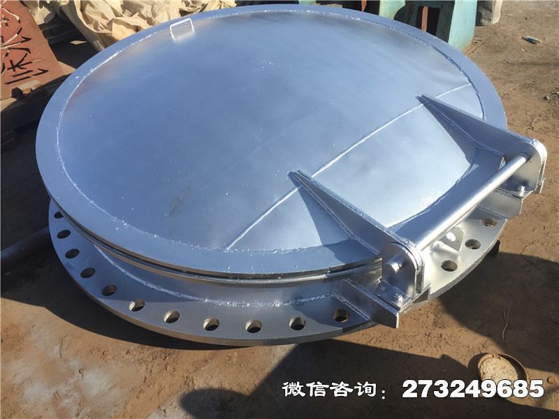 长武县不锈钢止回拍门