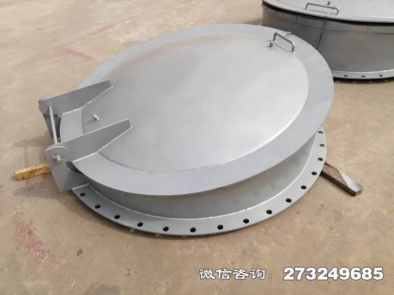 长武县不锈钢逆止拍门