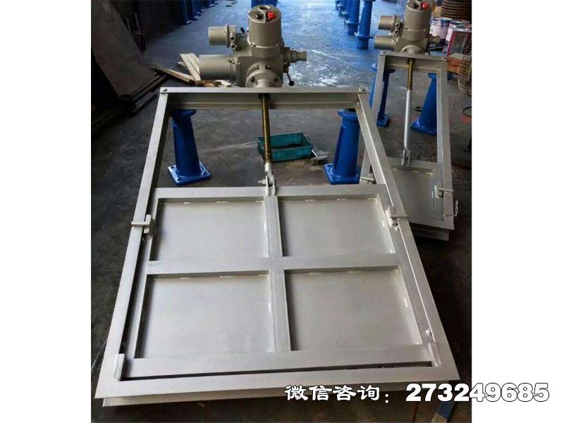 滨江316L不锈钢机闸一体闸门