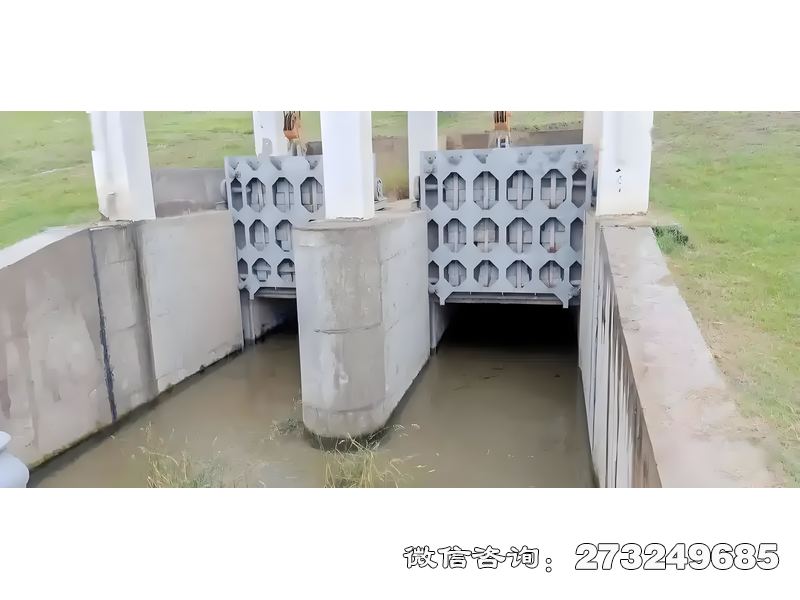 内涝防治泵站闸门
