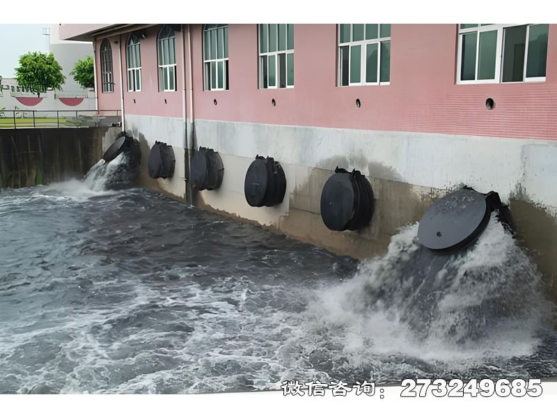 临沭县河口潮门拍门