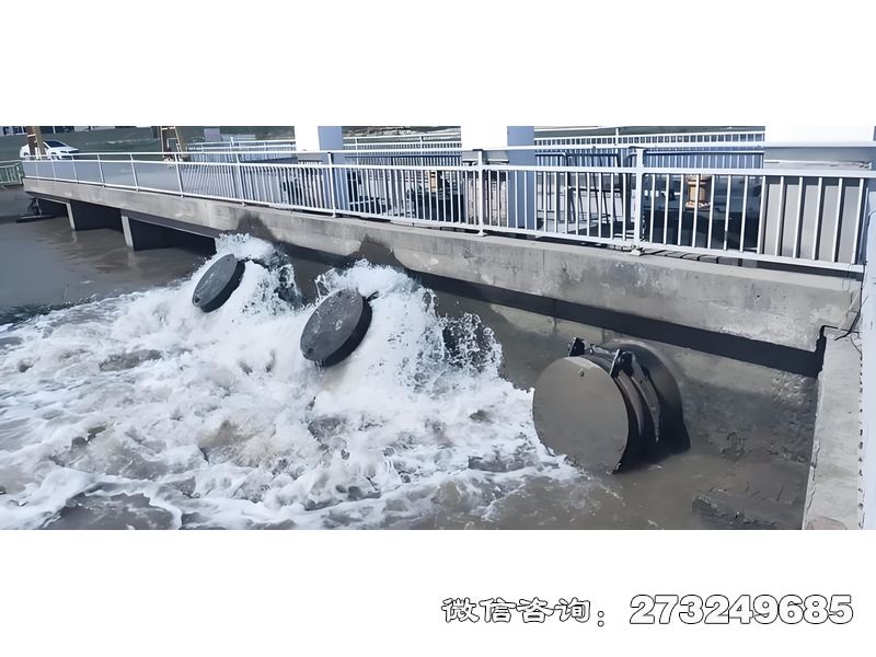 常山县内河潮门拍门