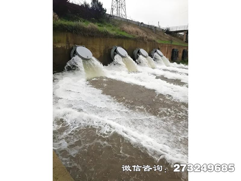 长武县排水管网末端潮门拍门