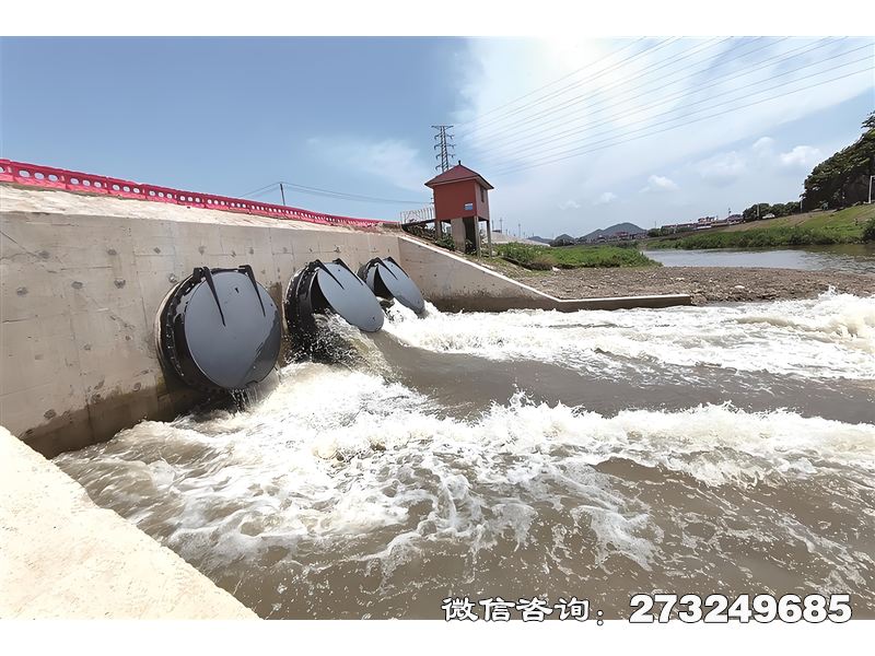 长武县蓄滞洪区潮门拍门