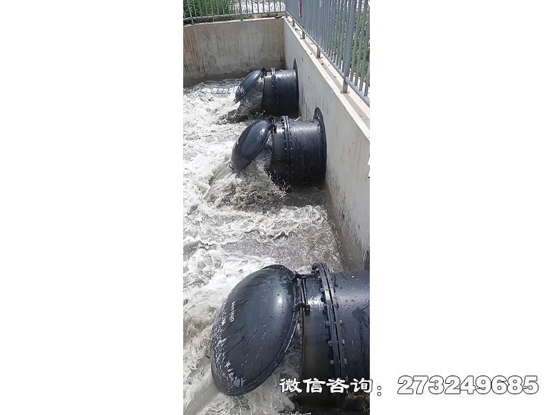 长武县污水处理厂潮门拍门