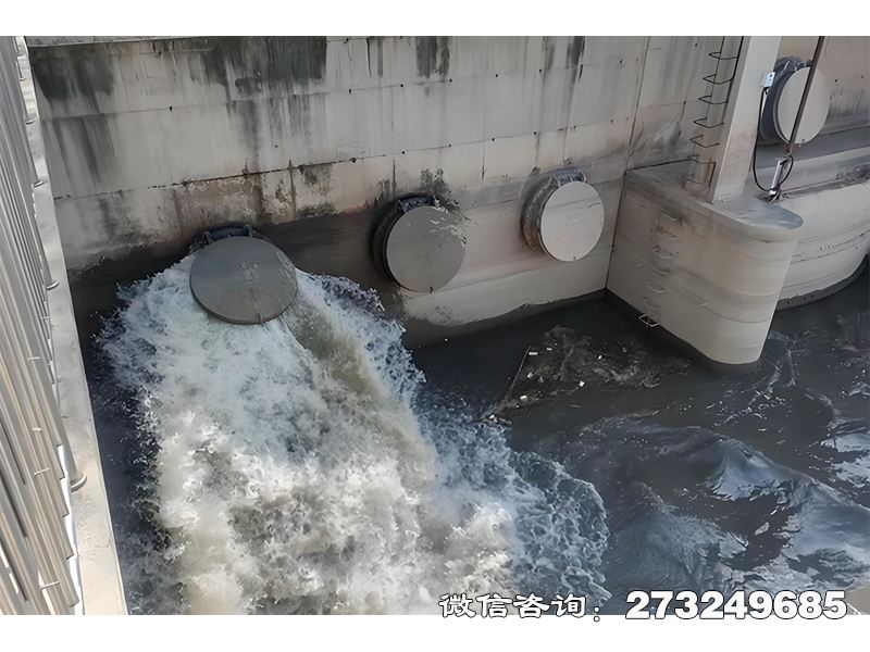 滨江隧道排水口潮门拍门