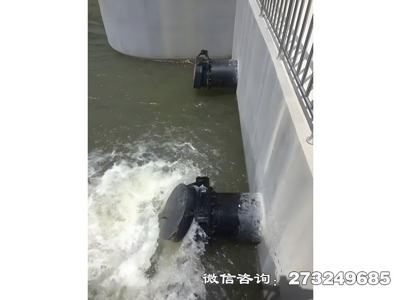 临沭县河道潮门拍门