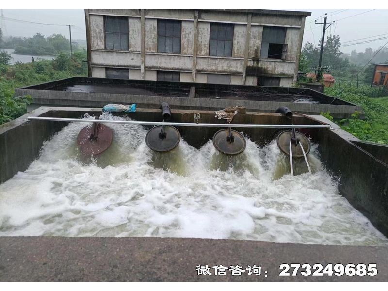 滨江行洪区退水口潮门拍门