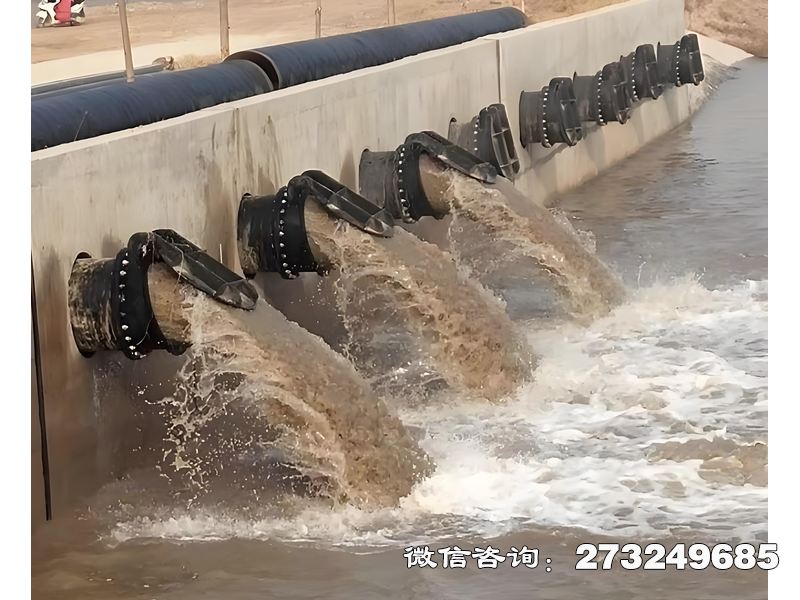 常山县蓄滞洪区分洪闸潮门拍门