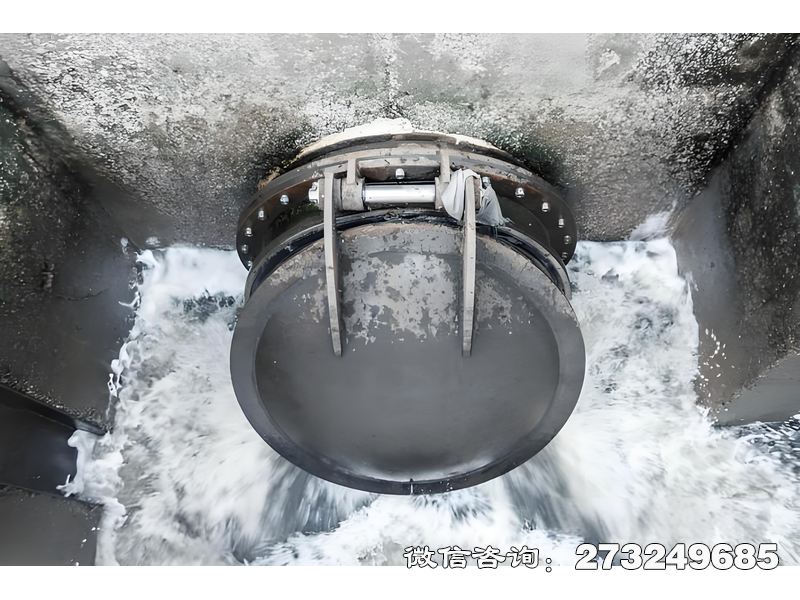 常山县河道排水潮门拍门