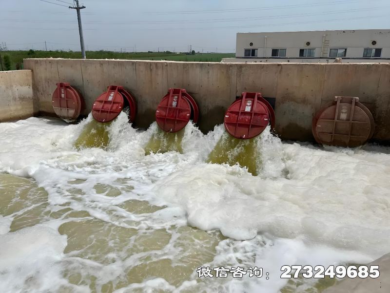 常山县河口整治工程潮门拍门