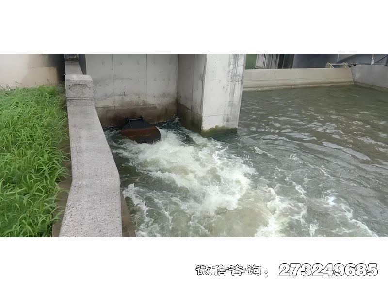 浙江海塘防潮闸潮门拍门