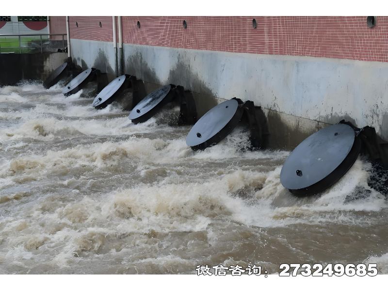 灌溉渠首水闸潮门拍门