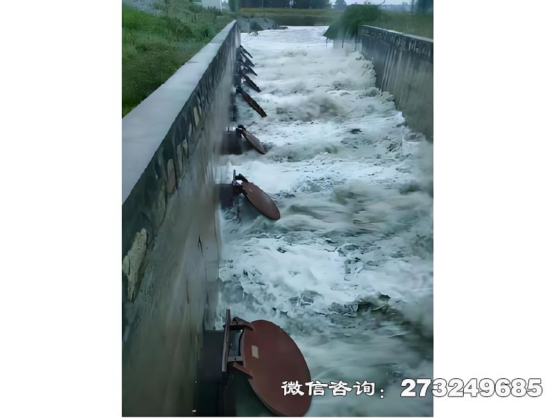 进出口潮门拍门