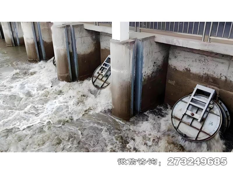 临沭县港口潮门拍门