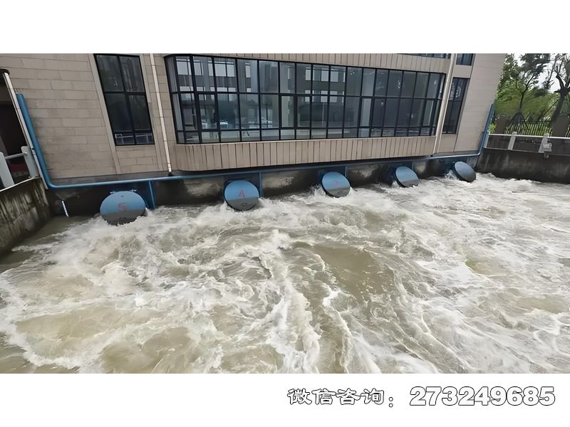 滨江海防工程拍门