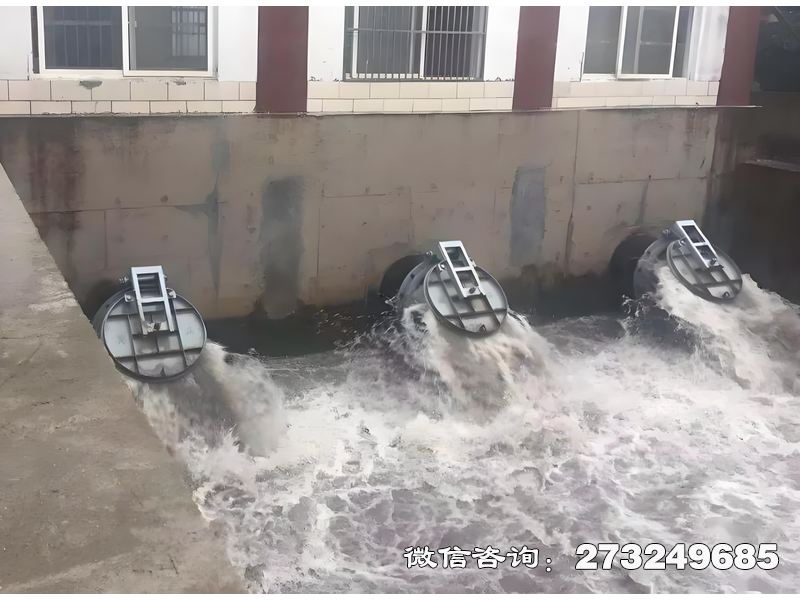 潮汐能管道拍门