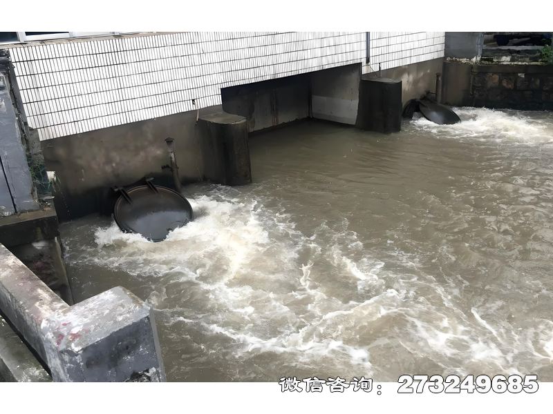 临沭县泵站潮门拍门