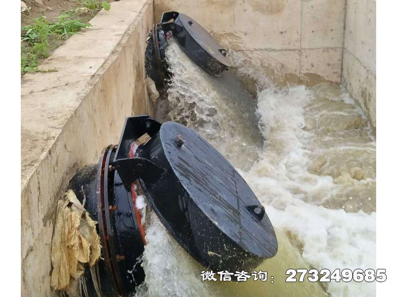 滨江海水防倒灌拍门