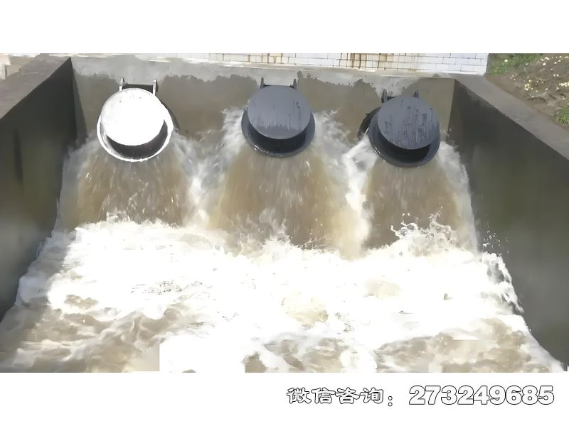 滨江河口防潮拍门