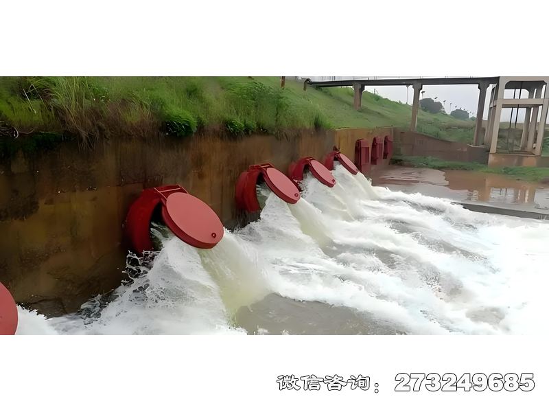 滨江涵管排水拍门