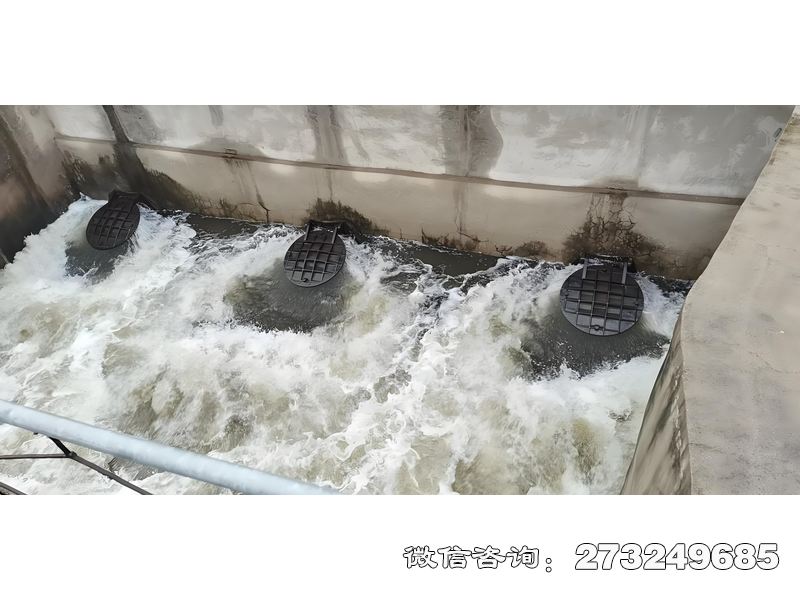 滨江海水养殖排水拍门