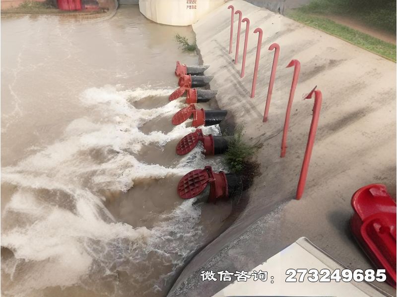 海水生态防潮拍门