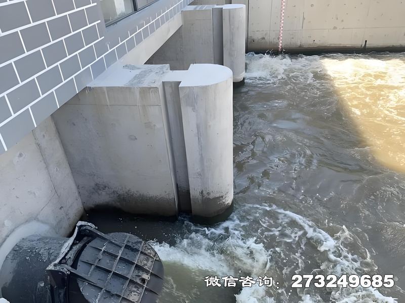 常山县灌区潮门拍门