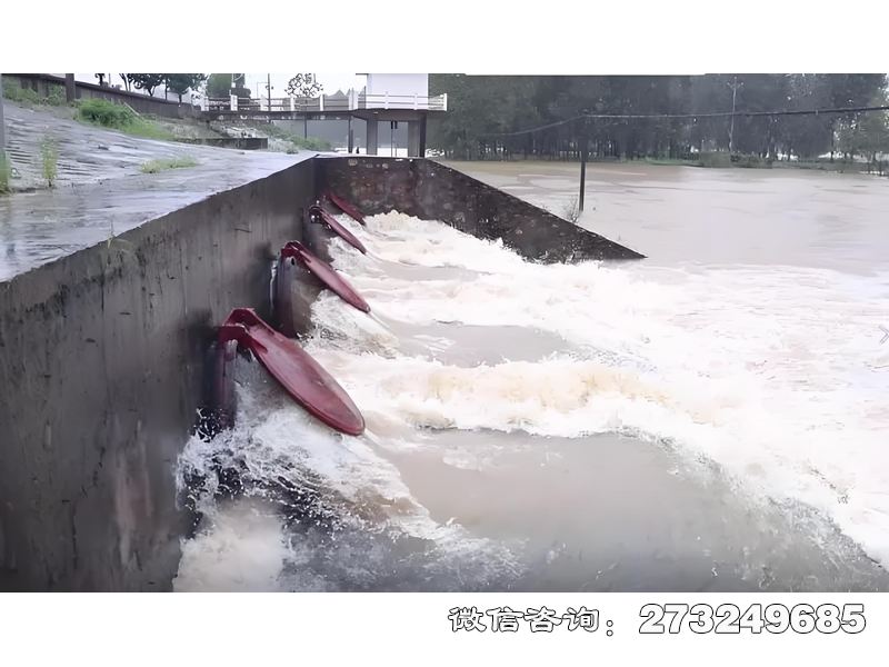 长武县城市排水系统潮门拍门
