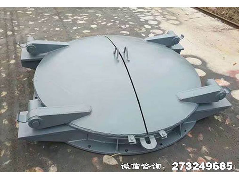 常山县沿海防潮钢制拍门