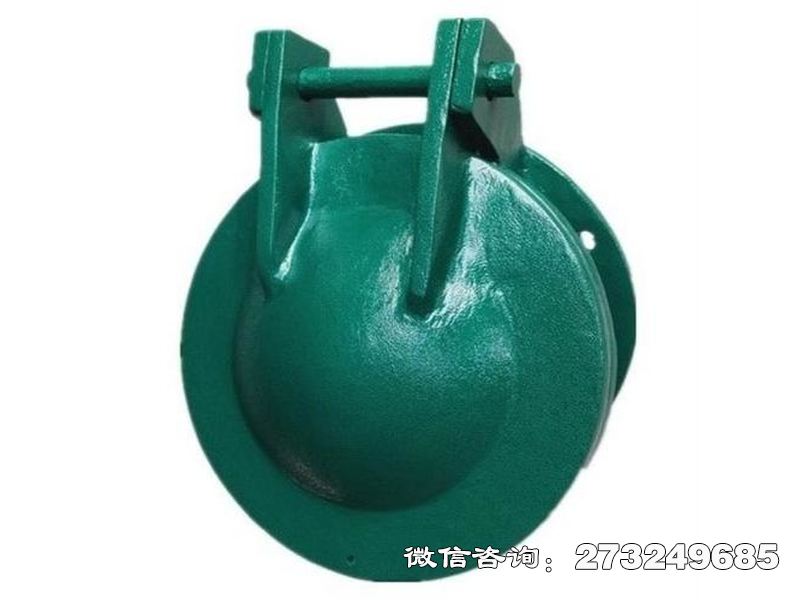 常山县防倒灌钢制水库拍门