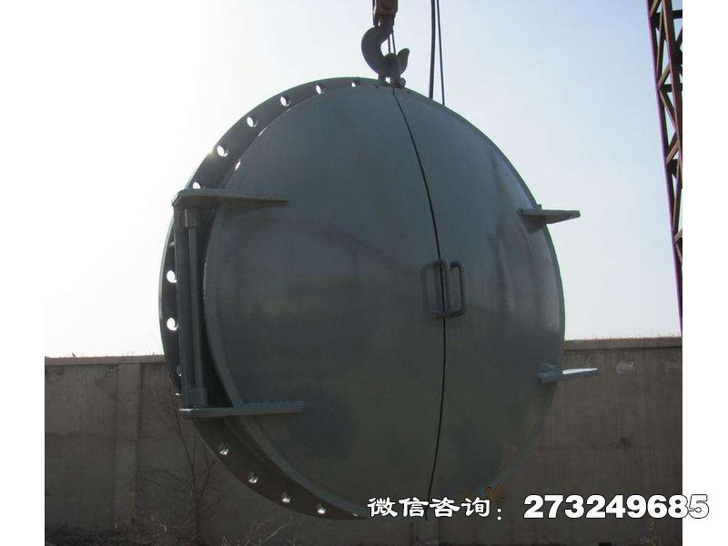 常山县农田灌溉钢制拍门