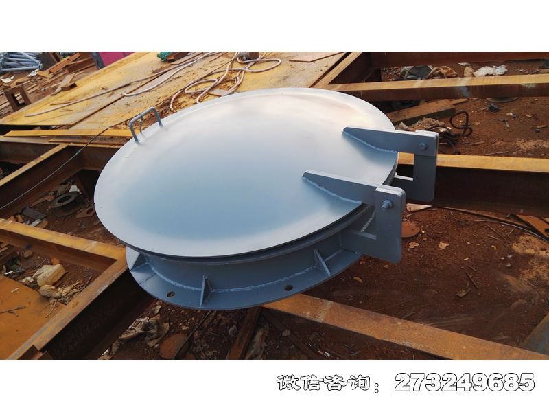 常山县生态补水钢制拍门