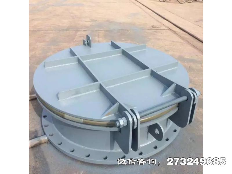 常山县水源保护钢制拍门