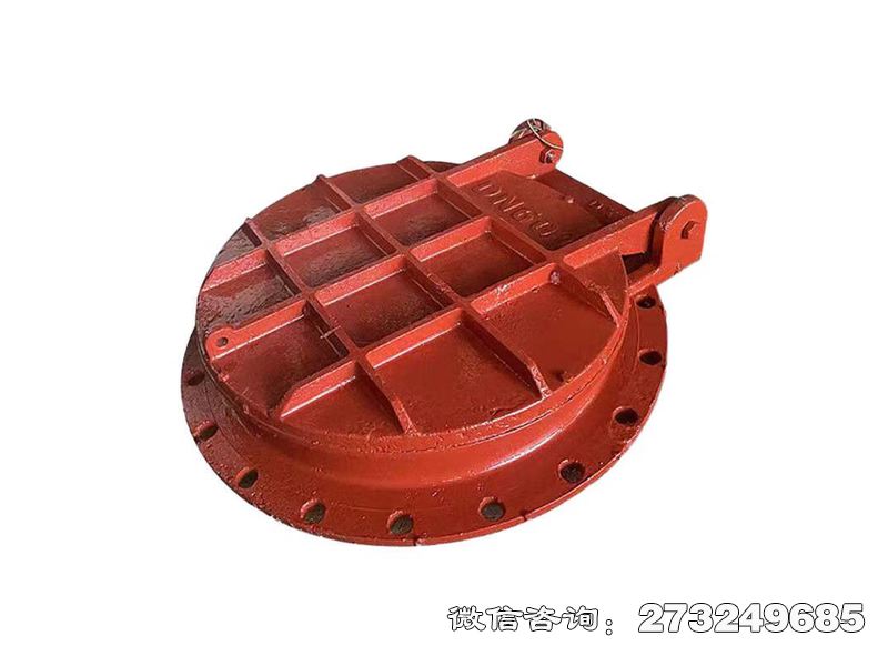 常山县水利局钢制排涝拍门