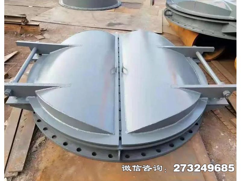 常山县防潮钢制海堤拍门