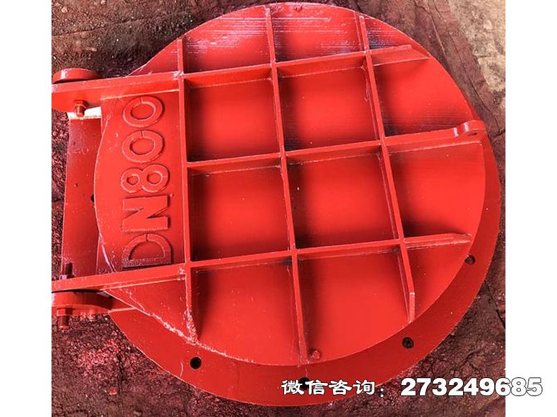 黔东南州止回钢制管道拍门