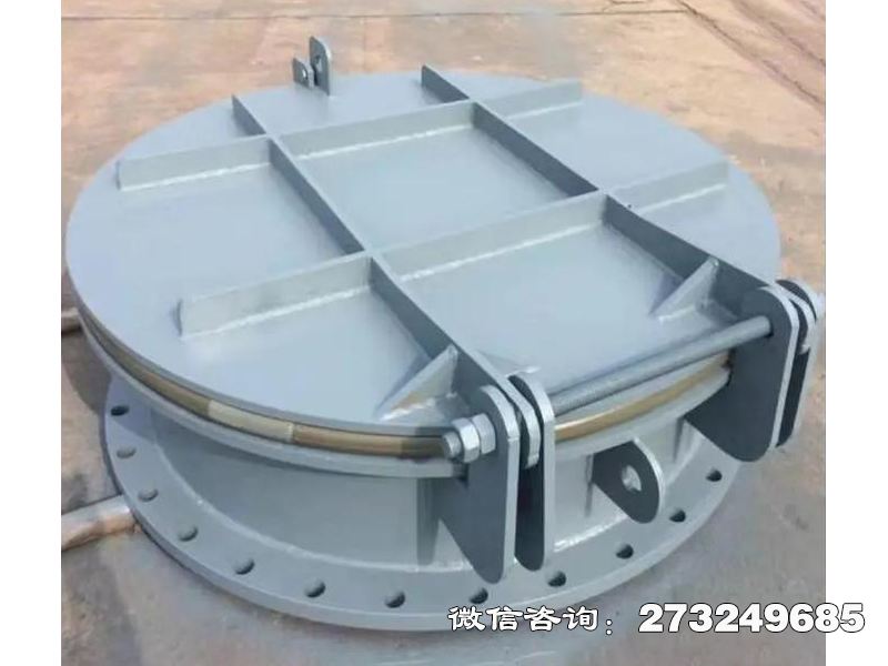 黔东南州溢流钢制渠道拍门