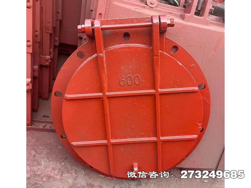 黔东南州耐腐钢制污水拍门