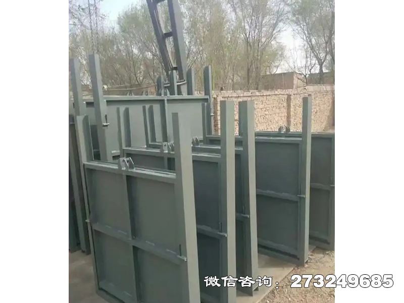 常山县生态补水钢制闸门